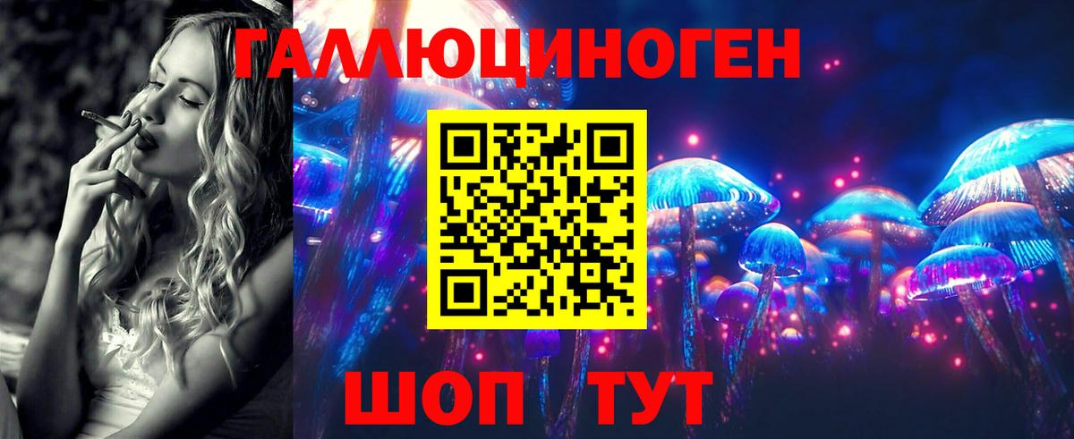 Псилоцибиновые грибы GOLDEN TEACHER  Галлюциногенные грибы MAGIC MUSHROOMS  Реутов  Вход с VPN 